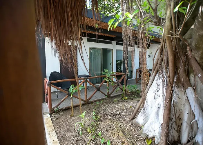 Kinta Playa del Carmen